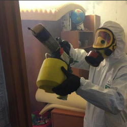 Уничтожение клопов в квартире. Посёлок имени Свердлова