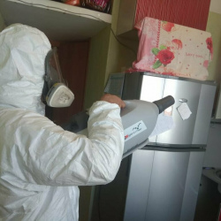 Уничтожение насекомых в квартире. Посёлок имени Свердлова